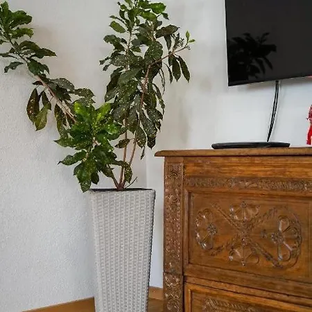 Apartment Trendelmuehle *