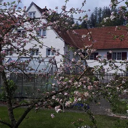 Trendelmuehle * Lautrach